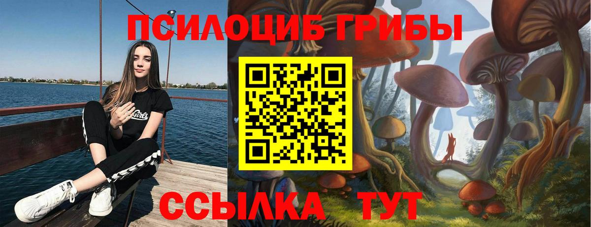 Галлюциногенные грибы Cubensis  Крымск 